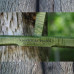 21in Maple (Quilted) Green