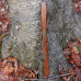 21in Oak - Deep Forest Fin