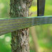 21in Oak - Earth Green Finish