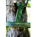 24in Oak - Meadow Green