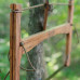 21in Oak - Rustic Fin Bucksaw