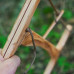 21in Olive Wood over Oak